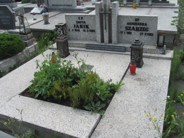 Grób Agnieszka  Szarzec