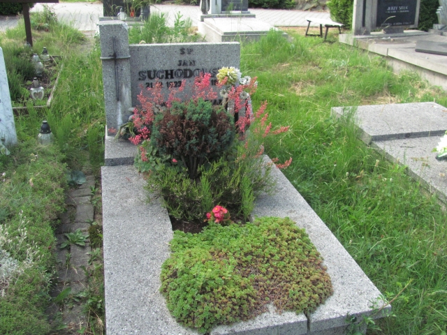 Grób Jan Suchodolski