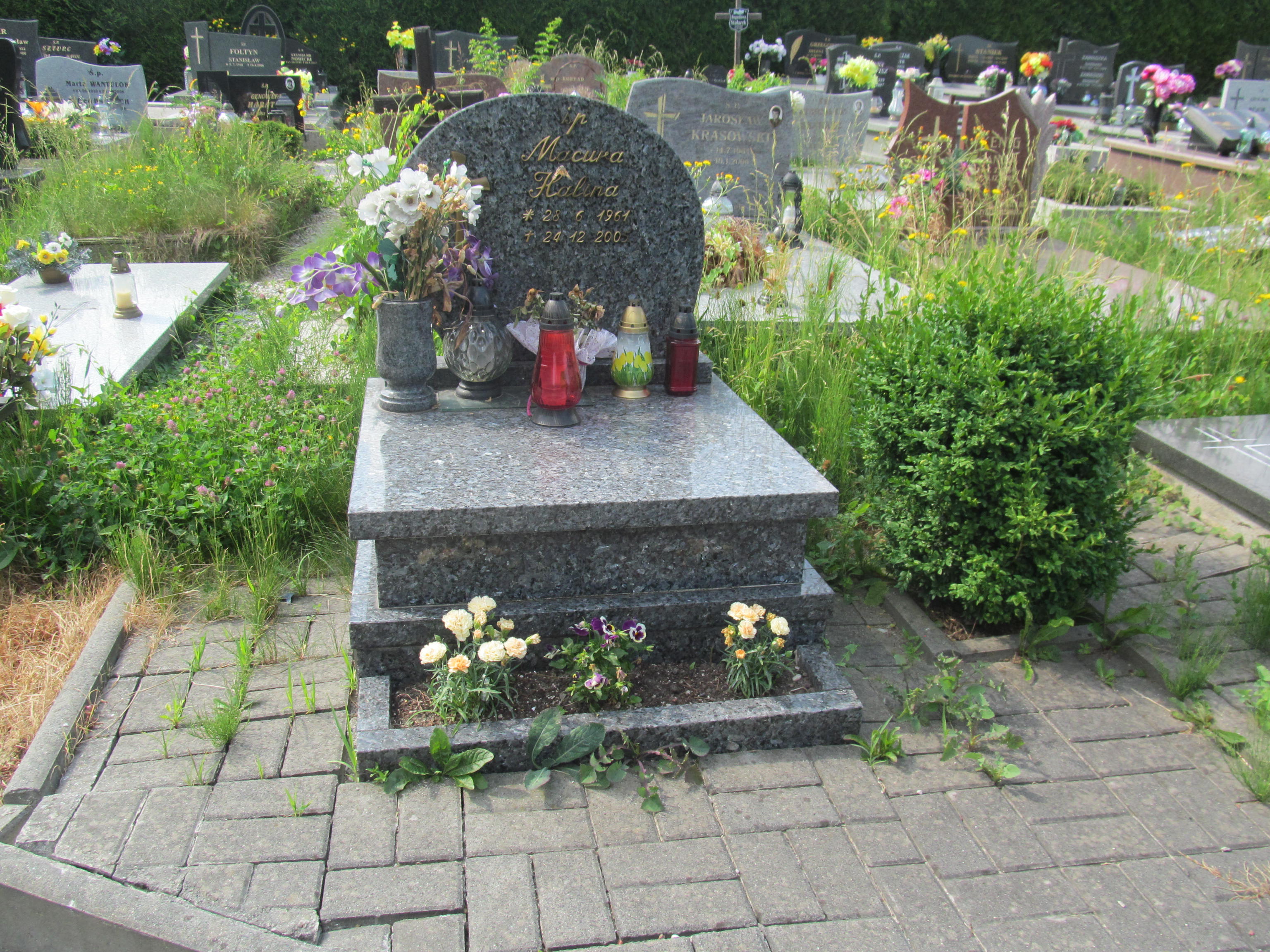 Grób Halina Macura